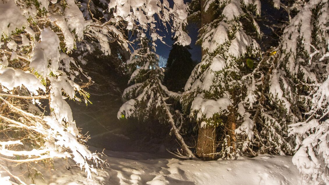 Mühlen Advent 4 | © Michael Simonlehner