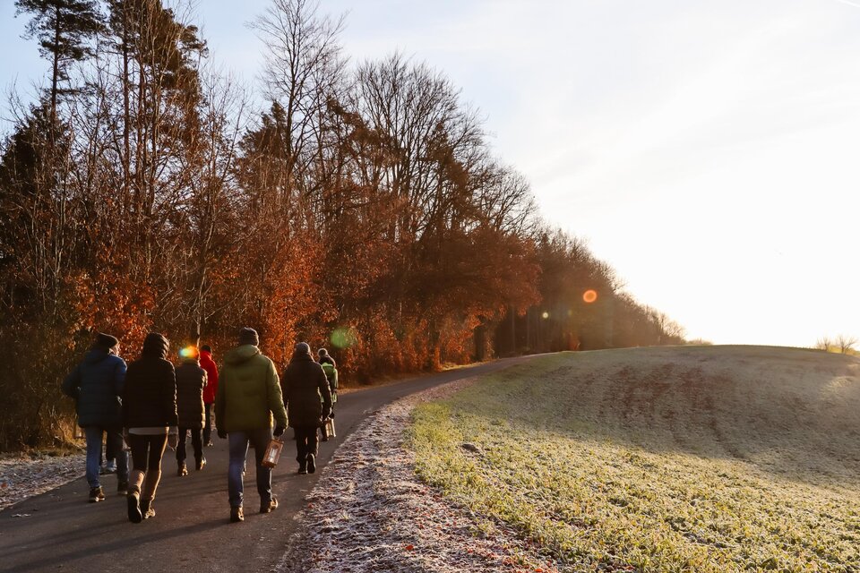 Einegruppe von Personen wandert auf einem ruhigen Weg in der Natur. Die Bäume sind mit herbstlichen Farben geschmückt, und die Sonne scheint.