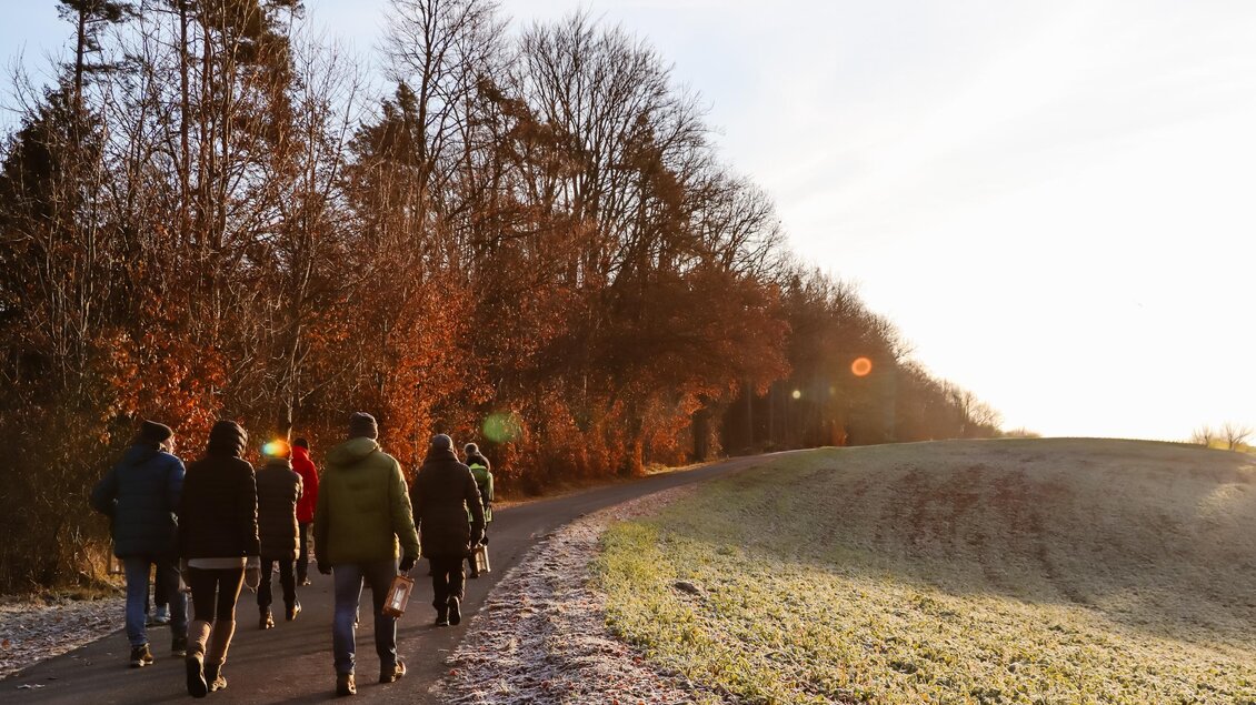 Einegruppe von Personen wandert auf einem ruhigen Weg in der Natur. Die Bäume sind mit herbstlichen Farben geschmückt, und die Sonne scheint.