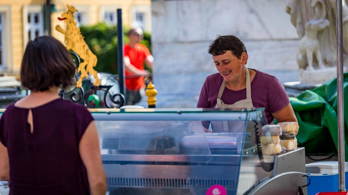 Käse und Milchprodukte