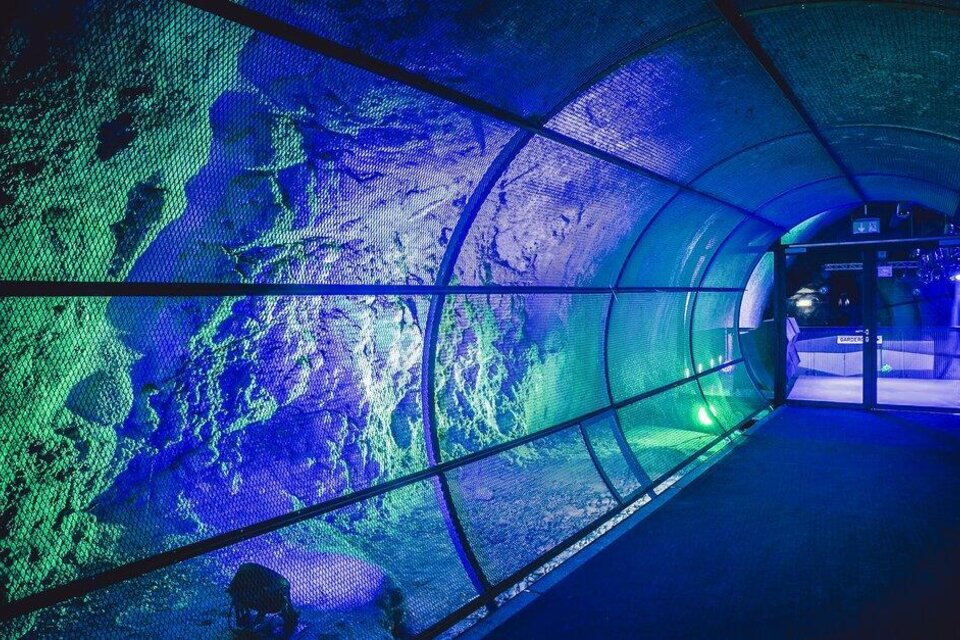 Ein futuristischer Tunnel mit leuchtenden blauen und grünen Farben. Die Wände sind von einer felsigen Textur umgeben, die Licht reflektiert. | © Grazer Spielstätten