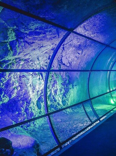 dom-im-berg | © Grazer Spielstätten | © Grazer Spielstätten