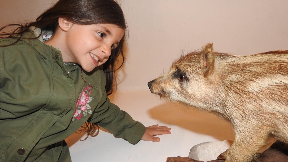 Ein Mädchen lächelt und schaut neugierig auf ein ausgestellt Tier. Der Hintergrund ist einfach und hebt die beiden Hauptfiguren hervor. | © Naturpark Sölktäler