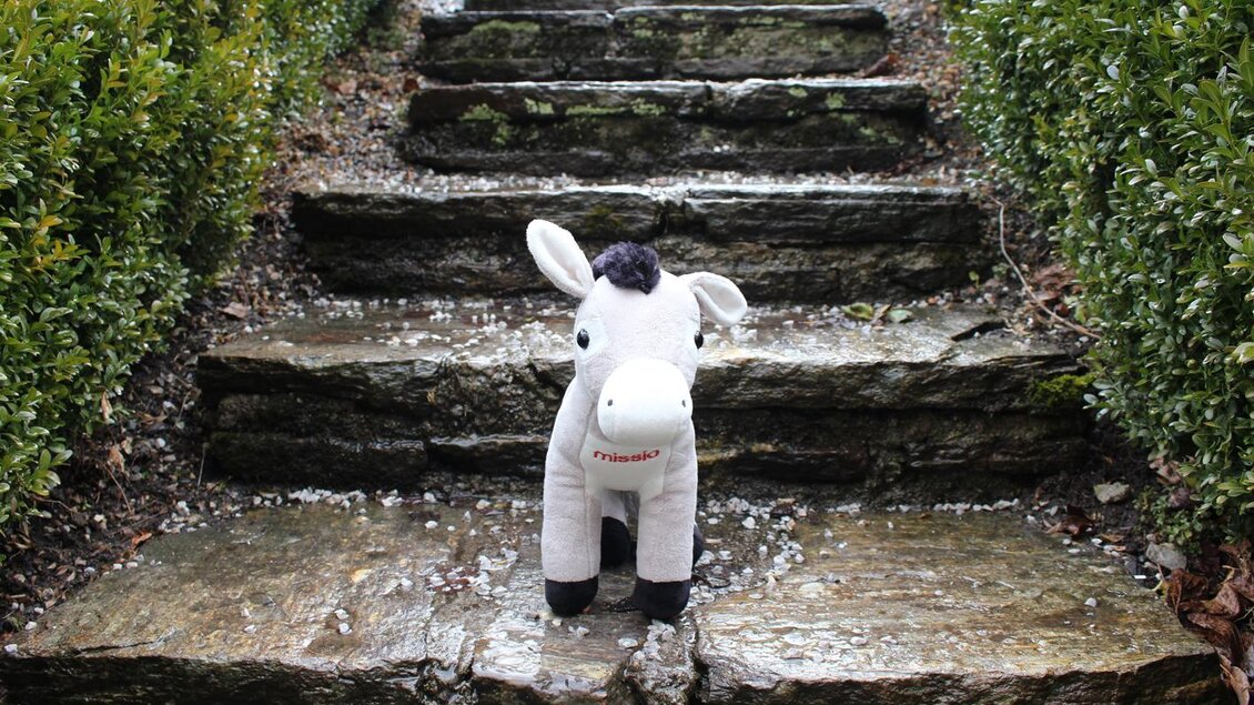 Ein Plüschfohlen steht auf einer steinernen Treppe, umgeben von grünen Hecken. Die Umgebung ist naturbelassen und wirkt freundlich. | © Pater Mag. Aaron Laun