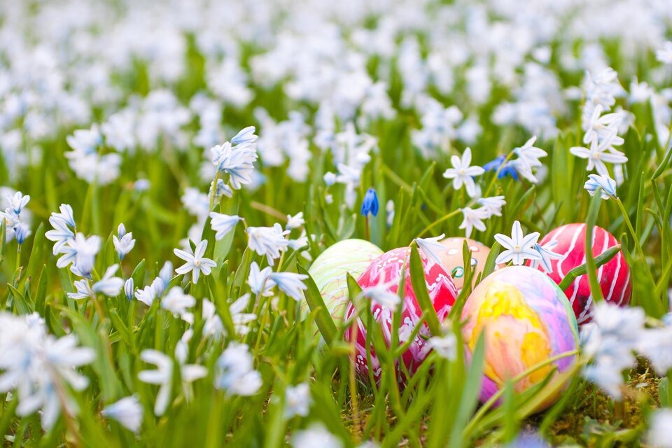 Bunte Ostereier in einer Wiese volle blühender Blumen | © Tourismusverband Oststeiermark