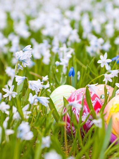 Bunte Ostereier in einer Wiese volle blühender Blumen | © Tourismusverband Oststeiermark