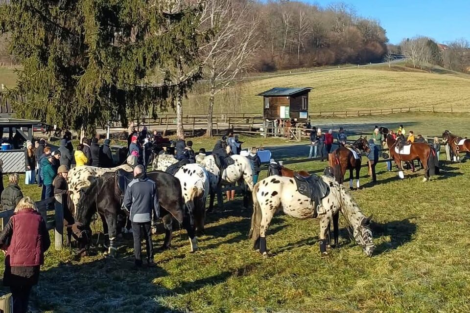Pferdesegnung | © PSV Trautmannsdorf