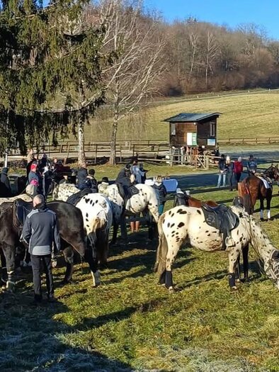 Pferdesegnung | © PSV Trautmannsdorf