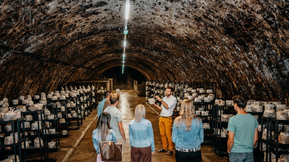 Eine Führung in einem kühlen Gewölbe mit Regalen voller Flaschen. Eine Gruppe von Menschen hört einem Vortrag zu.