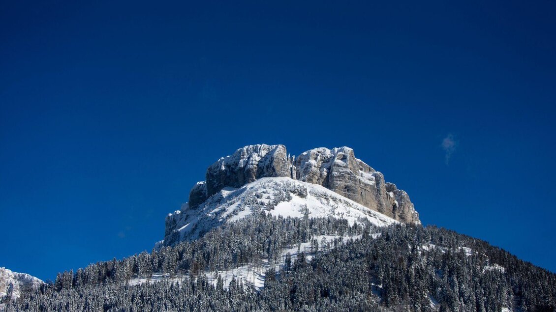 Ein schneebedeckter Berg unter einem klaren blauen Himmel. Der Wald am Fuß des Berges ist ebenfalls winterlich mit Schnee bedeckt. | © Tom Lamm