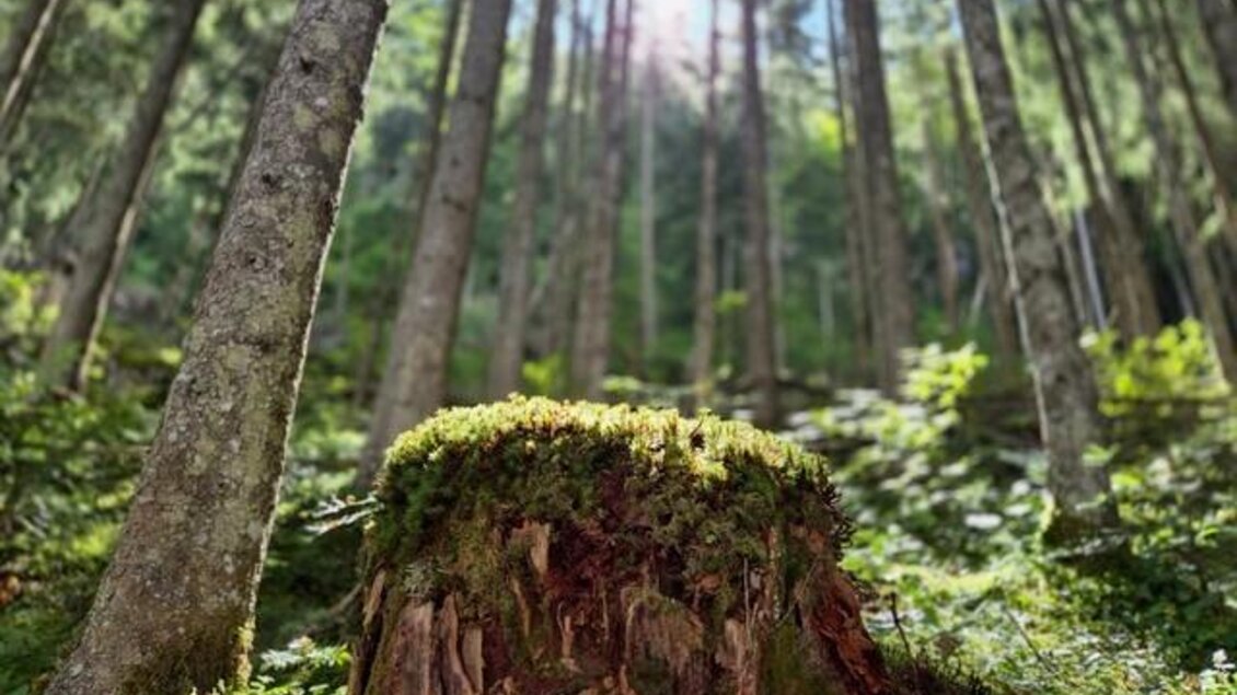 Retreat Meditation & Entspannung 03 | © Sandra Janko