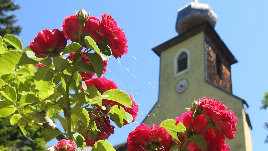 Eine schöne Blumenpracht mit roten Rosen im Vordergrund. Im Hintergrund steht ein Kirchturm unter blauem Himmel. | © Naturpark Sölktäler