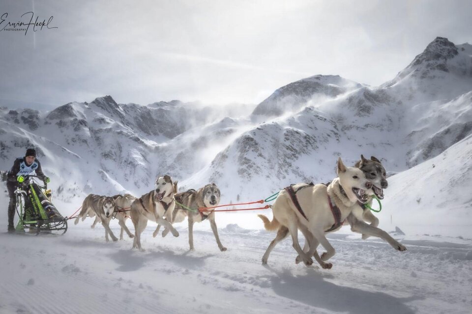 Ein Schlittenhundeteam zieht einen Schlitten durch schneebedeckte Berge. Die Szenerie ist winterlich und majestätisch. | © Erwin Heckl
