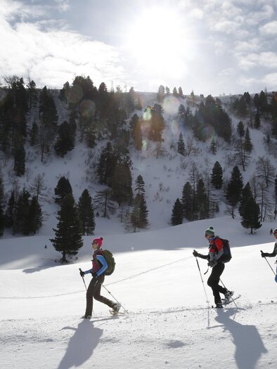 Three people are hiking through a snowy landscape. In the background, trees and a bright sky can be seen. | © Herbert Raffalt