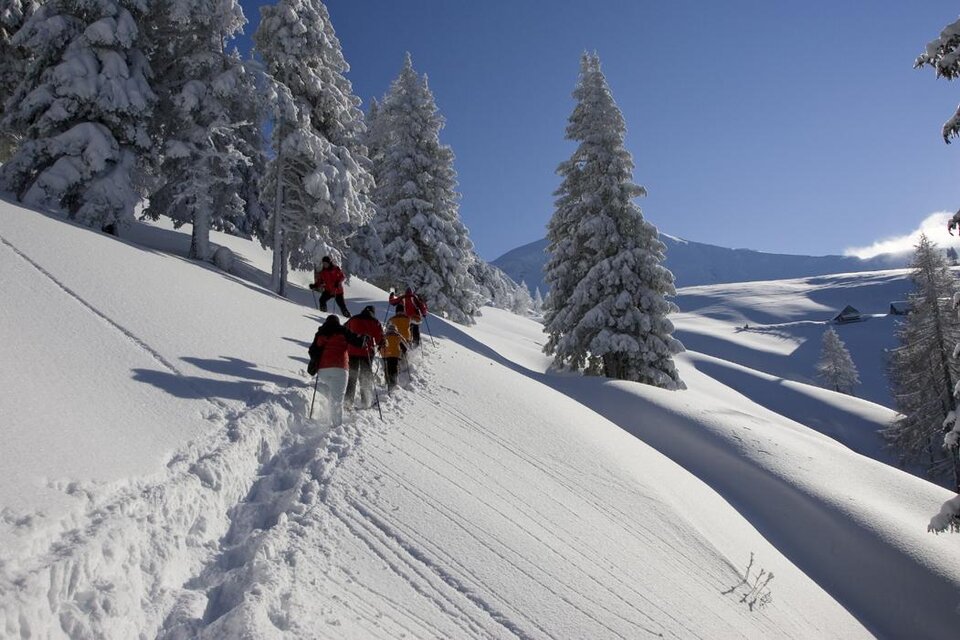 Eine Gruppe von Menschen wandert durch eine verschneite Landschaft. Hohe, mit Schnee bedeckte Bäume und ein klarer blauer Himmel umgeben die Szene. | © Josef Moritz