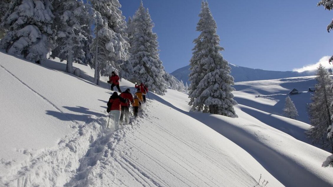 Eine Gruppe von Menschen wandert durch eine verschneite Landschaft. Hohe, mit Schnee bedeckte Bäume und ein klarer blauer Himmel umgeben die Szene. | © Josef Moritz