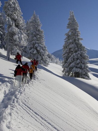 A group of people is hiking through a snowy landscape. Tall, snow-covered trees and a clear blue sky surround the scene. | © Josef Moritz