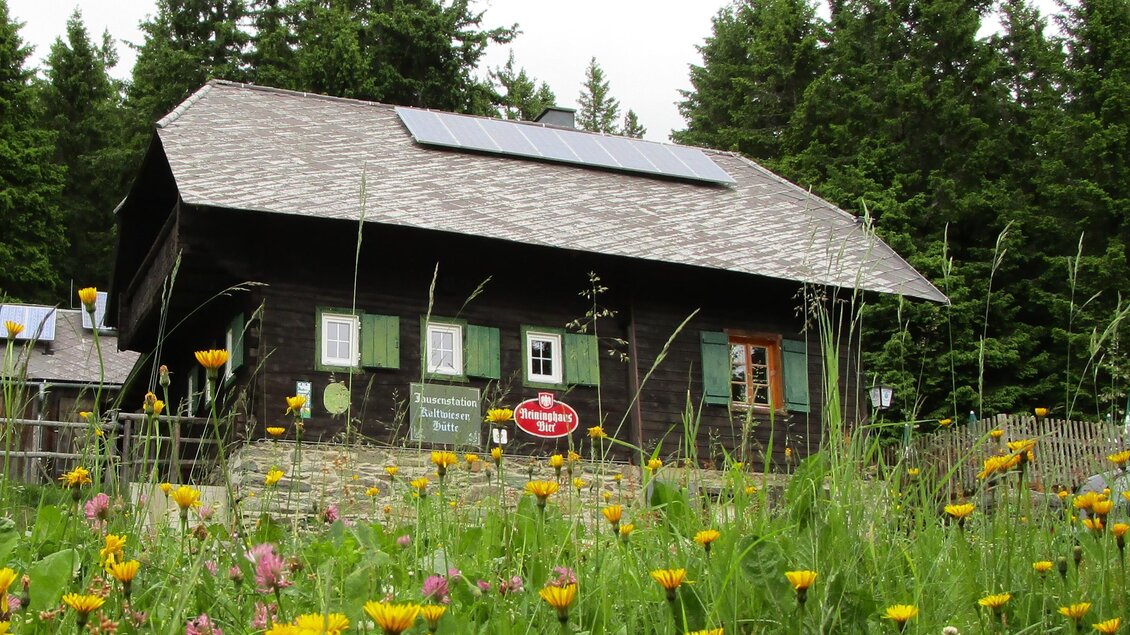 Ein charmantes Holzhaus umgeben von bunten Wildblumen und dichten Bäumen. Das Dach hat Solarpanels und die Fenster sind grün gestrichen. | © Maria Gessl
