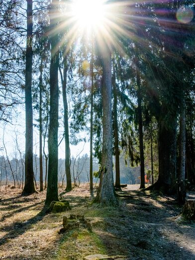 Wintersport | © TV Region Graz-Mias Photoart | MIAS PHOTOART    _MICHAELA PFLEGERR | © TV Region Graz-Mias Photoart