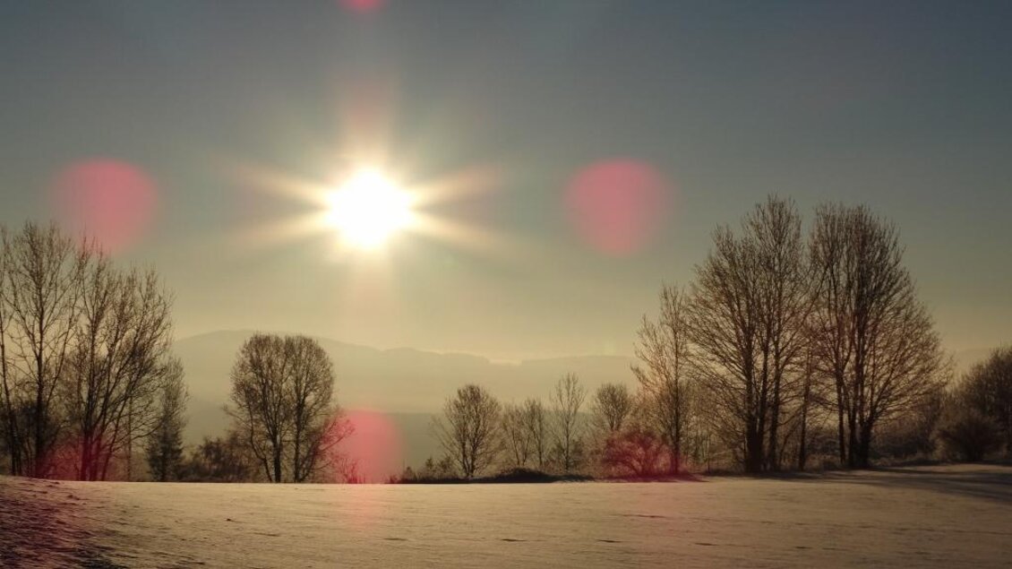 Eine winterliche Landschaft mit schneebedecktem Boden und kahlen Bäumen. Die Sonne scheint hell am Himmel und sorgt für eine ruhige, friedliche Atmosphäre. | © Oststeiermark Tourismus