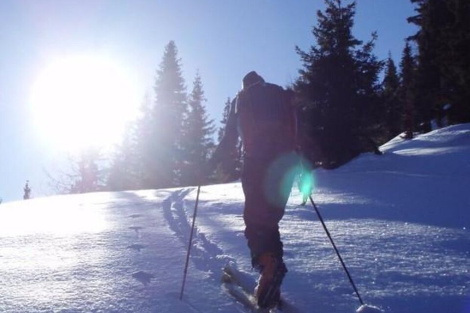 Eine Person steigt mit Tourenski einen verschneiten Hang hinauf. Die Sonne steht tief und blendend am Himmel links im Bild. Die Person ist von hinten zu sehen, benutzt Skistöcke und trägt winterliche Ausrüstung. Rechts und links des Hanges stehen dunkle, schneebedeckte Nadelbäume. | © Gundula Tackner