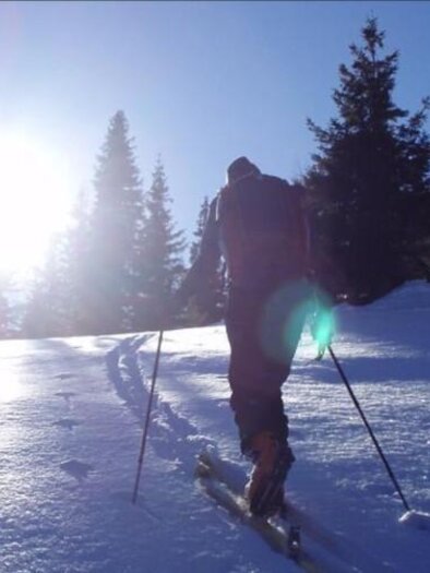 A person is climbing up a snow-covered slope with touring skis. The sun is low and glaring in the sky to the left of the image. The person is seen from behind, using ski poles and wearing winter gear. Dark, snow-covered coniferous trees stand on the right and left of the slope. | © Gundula Tackner