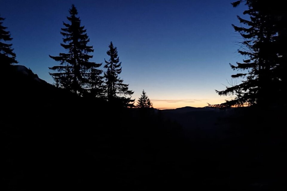 Ein Abendhimmel mit dunklen Silhouetten von Tannenbäumen. Der Horizont zeigt einen sanften Übergang von Dunkelblau zu warmen Farbtönen. | © steirischwandern.at