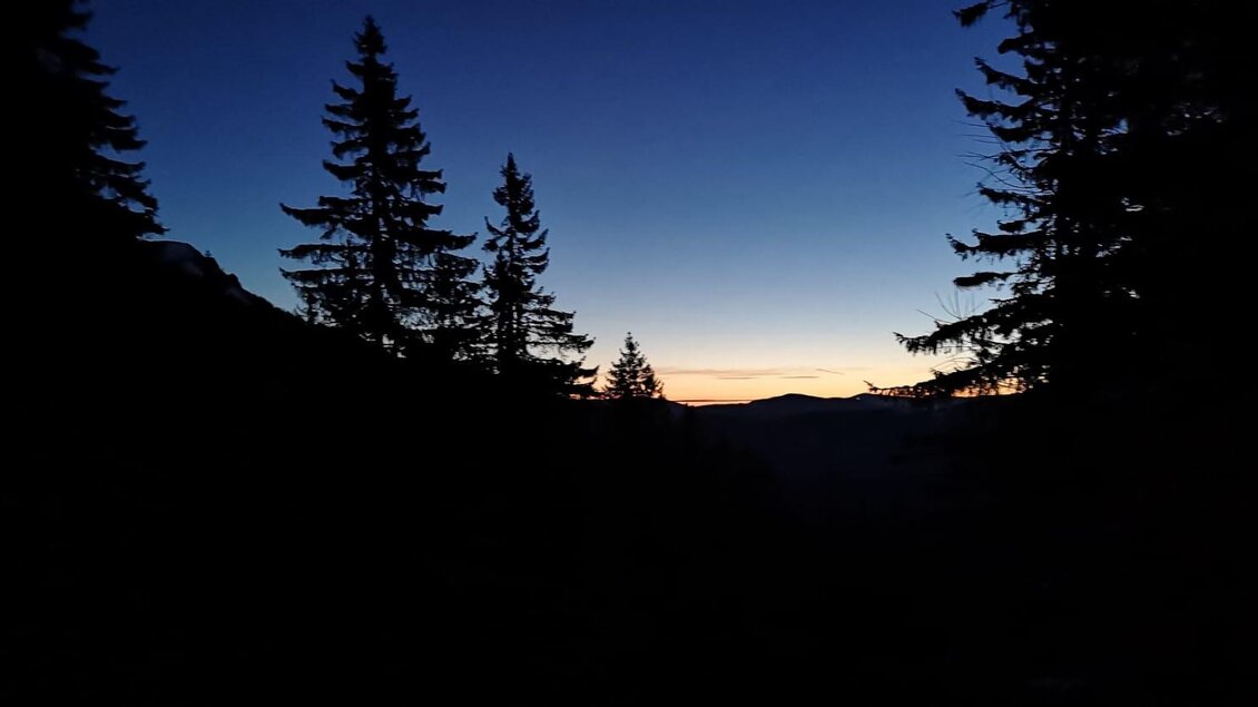 Ein Abendhimmel mit dunklen Silhouetten von Tannenbäumen. Der Horizont zeigt einen sanften Übergang von Dunkelblau zu warmen Farbtönen. | © steirischwandern.at