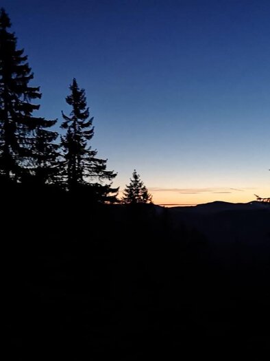 Ein Abendhimmel mit dunklen Silhouetten von Tannenbäumen. Der Horizont zeigt einen sanften Übergang von Dunkelblau zu warmen Farbtönen. | © steirischwandern.at