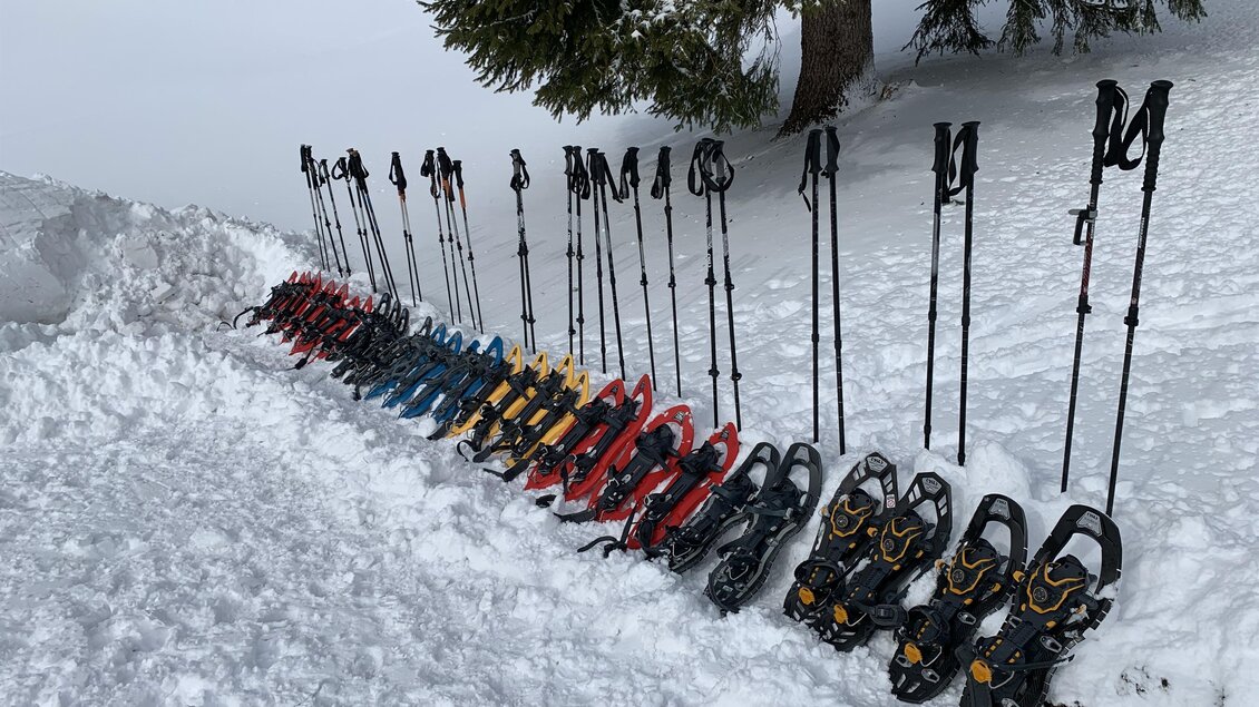 Eine Reihe von Schneeschuhen und Skistöcken steht im Schnee. Die Schneeschuhe sind in verschiedenen Farben angeordnet. | © steirischwandern.at