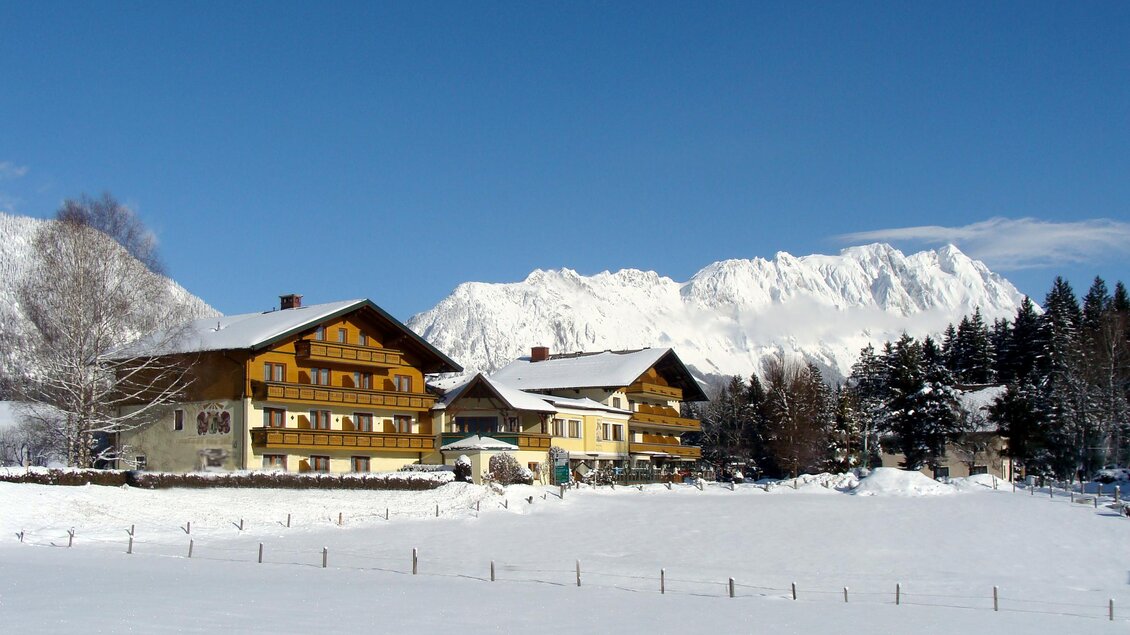 Häuserl im Wald | © Häuserl im Wald