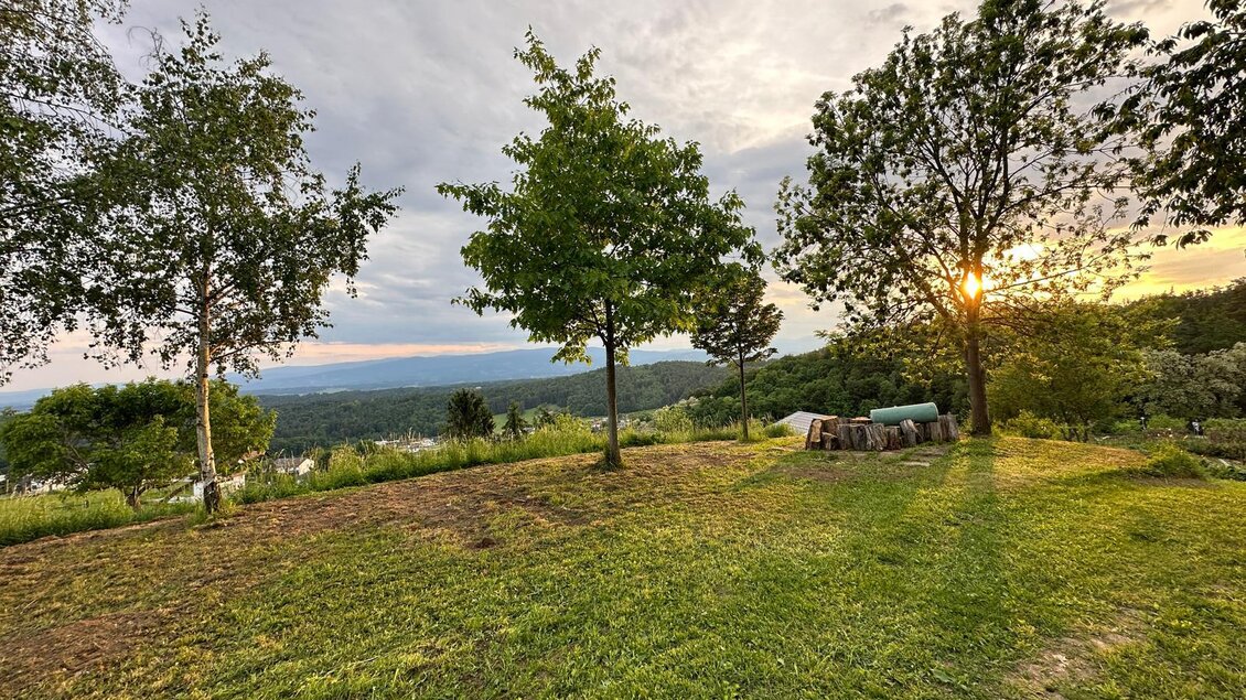 Eine malerische Wiese mit Bäumen und sanften Hügeln im Hintergrund. Die Sonne geht am Horizont unter und beleuchtet die Szene warm. | © Lienhof