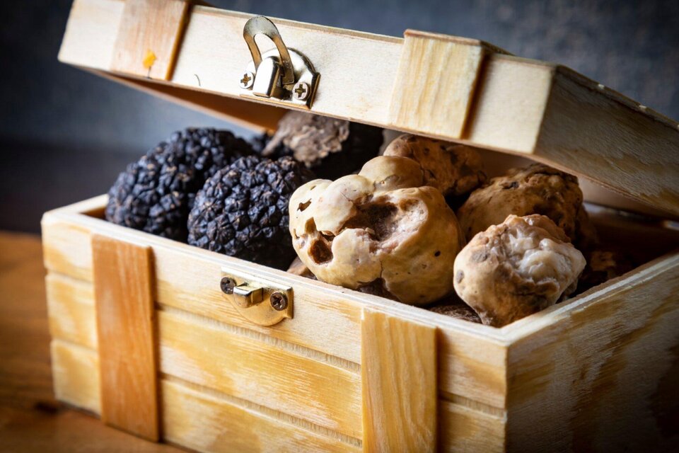 Trüffelfestival Graz | © Graz Tourismus - Werner Krug