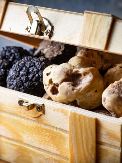 Trüffelfestival Graz | © Graz Tourismus - Werner Krug