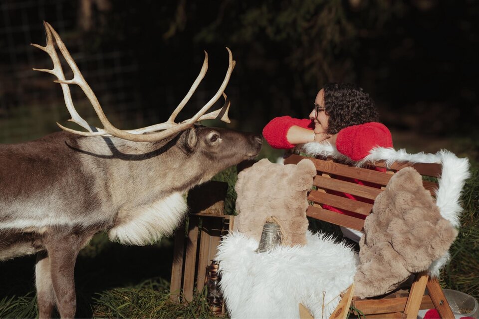 Eine Frau in einem roten Pullover sitzt auf einer Holzbänker, während ein rentierähnliches Tier neben ihr steht. Sie betrachten sich freundlich in einer natürlichen Umgebung. | © Einfachschön Fotografie