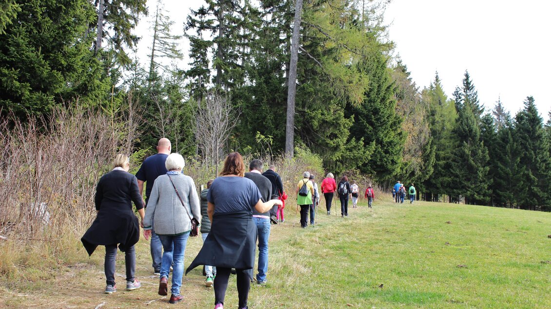 Eine Gruppe von Wanderern am Wanderweg in St. Kathrein am Offenegg | © Tourismusverband Oststeiermark