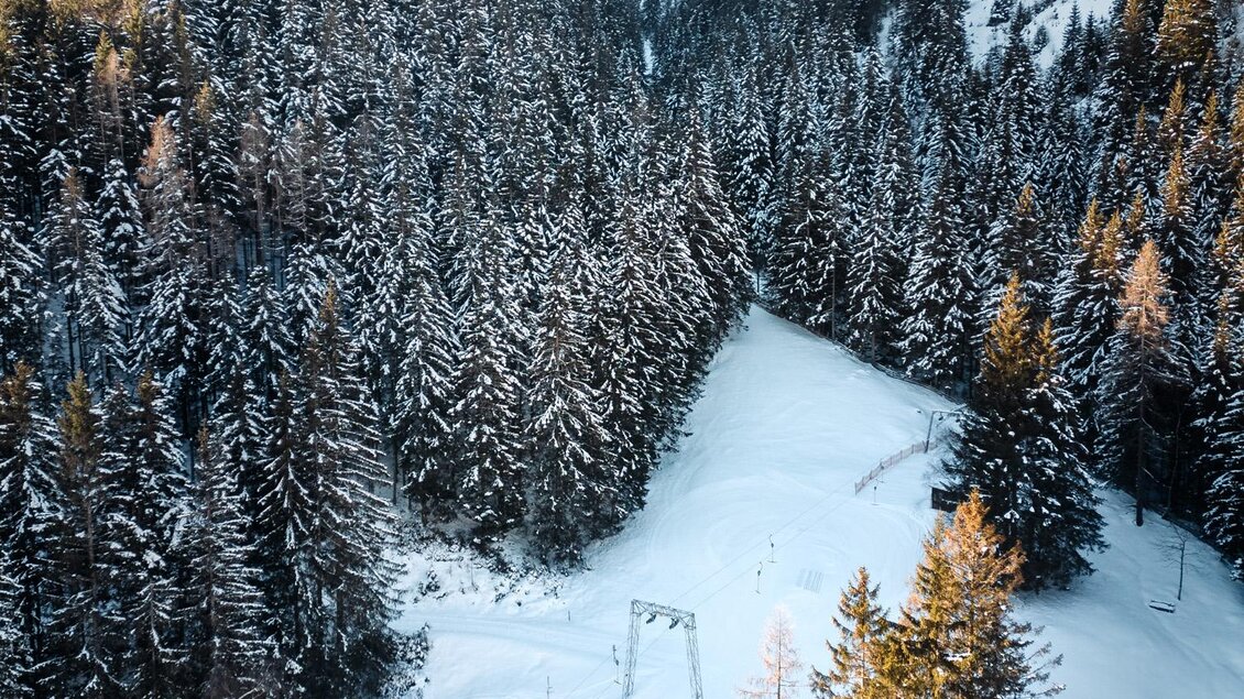 Eine malerische Winterlandschaft mit schneebedeckten Hängen und dichten Nadelwäldern. Im Hintergrund sind die Berge zu sehen, die den klaren Himmel einrahmen. | © Christoph Lukas