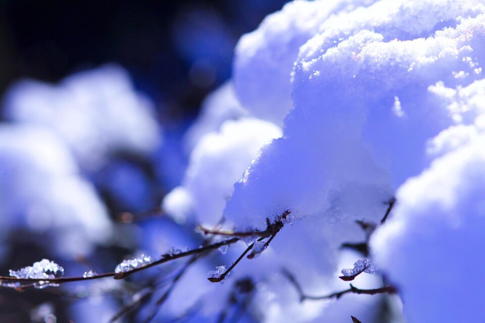 Eine Nahaufnahme von Schnee, der auf Ästen liegt. Die Szene vermittelt eine kalte und ruhige Winteratmosphäre. | © TVB Thermen- & Vulkanland