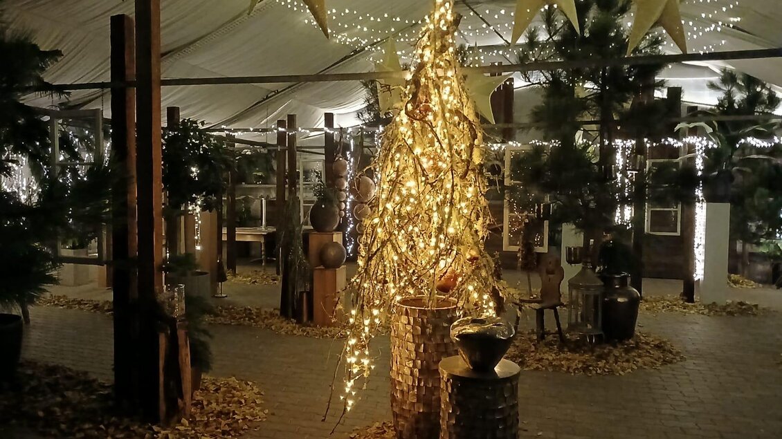 Ein schön dekorierter Raum mit einer leuchtenden Bauminstallation und festlichen Lichtern. Es sind Tannenzweige und goldene Sterne zu sehen, die eine einladende Atmosphäre schaffen.
