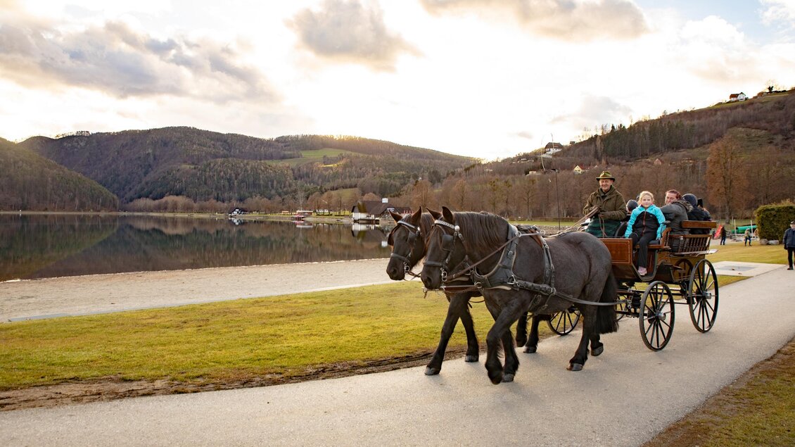 Weihnachtsmarkt_Kutschenfahrt_Oststeiermark | © Martin Grabmayer-fotospass.at