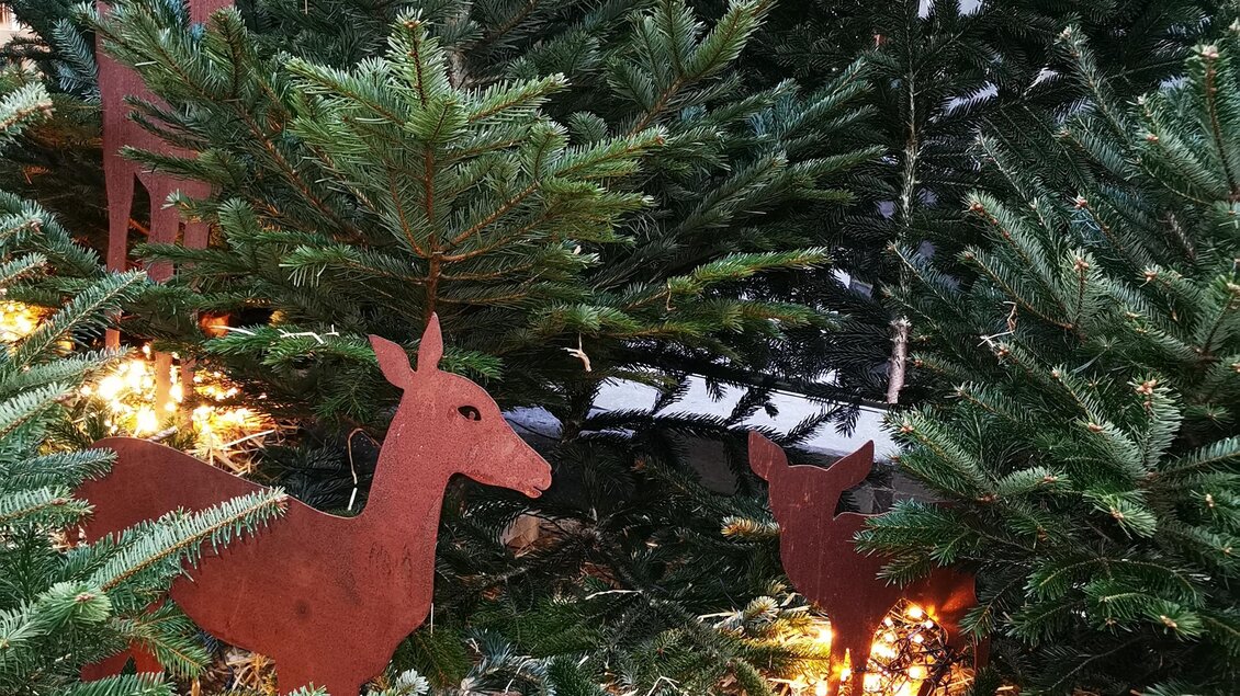 Ein Weihnachtsbaum mit dekorativen Rehfiguren aus Metall und sanfter Beleuchtung. Die сочетание von Grün und Licht schafft eine festliche Atmosphäre. | © Oststeiermark Toursimus