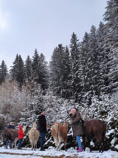 Winter Lamawanderung | © LamaTouren-Orso-Gigleitner | © LamaTouren-Orso-Gigleitner