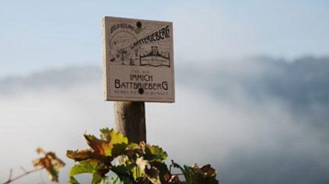 Ein Hinweisschild für den Weinberg Immich-Batterieberg steht vor einer nebligen Landschaft. Um das Schild herum sind Weinreben zu sehen.