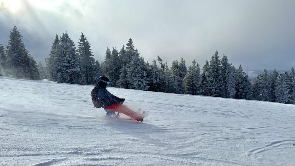 Eine Person fährt auf einem Schlitten den verschneiten Hang hinunter. Im Hintergrund sind verschneite Bäume und ein bewölkter Himmel zu sehen. | © Steirisch Wandern