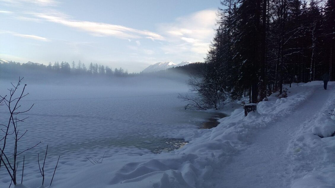 Ein verschneiter See mit Nebel und schneebedeckten Bäumen im Hintergrund. Der Weg entlang des Ufers ist sichtbar und führt in die Winterlandschaft. | © Christina Arzberger