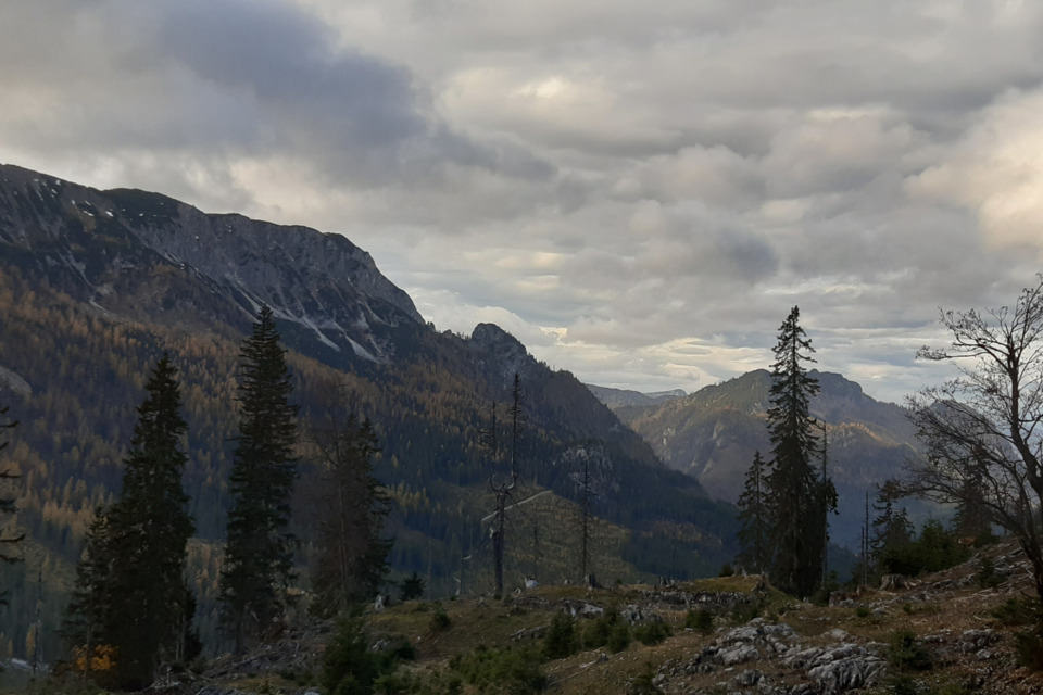 Ödernalm - Impression #1 | © TVB Ausseerland Salzkammergut_Daniela Casari