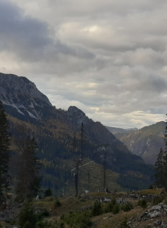 Ödernalm | © TVB Ausseerland Salzkammergut_Daniela Casari | TVB Ausseerland Salzkammergut_Daniela Casari | © TVB Ausseerland Salzkammergut_Daniela Casari