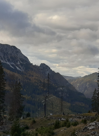 Ödernalm | TVB Ausseerland Salzkammergut_Daniela Casari | © TVB Ausseerland Salzkammergut_Daniela Casari