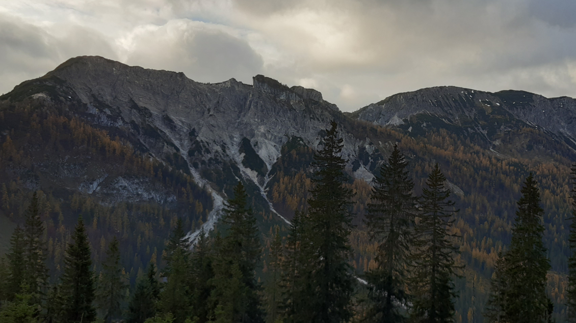 Eine beeindruckende Berglandschaft mit hohen Gipfeln und dichten Nadelwäldern. Der Himmel ist bedeckt und zeigt sanfte graue Wolken. | © TVB Ausseerland Salzkammergut_Daniela Casari
