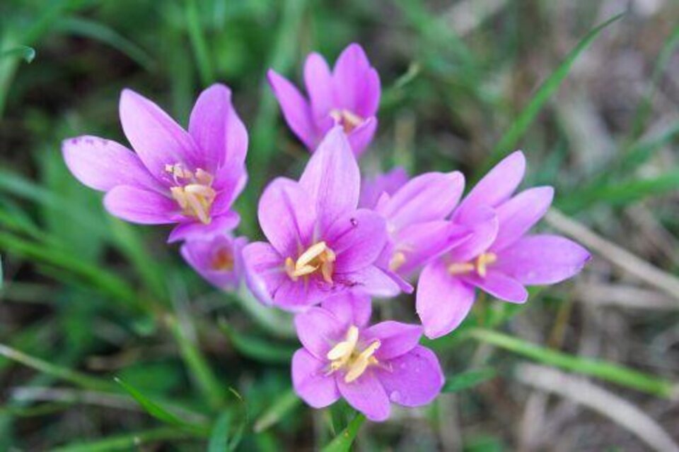 Öffentliche Bücherei Bad Gleichenberg - Impression #1 | © Thermen- & Vulkanland